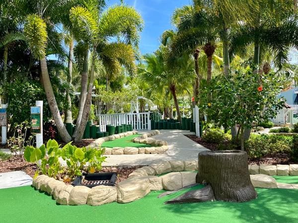 mini golf course with palm trees mini golf course with palm trees